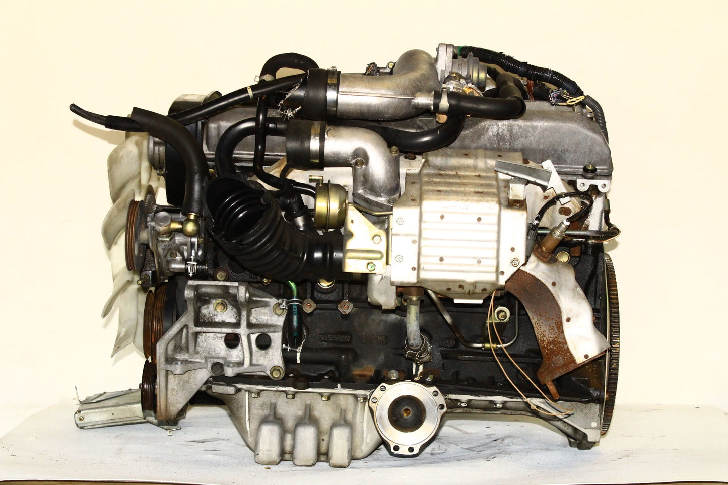 1996-1997 Nissan Stagea RS Four WC34 RB25DET S1 Engine 2.5L Inline 6 AWD JDM ECU Harness