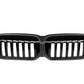 G20 Dry Carbon Fiber Front Grilles Single Slat (BMW 3-Series G20/G21/G28 LCI)