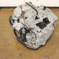 2005-2010 Scion TC Automatic JDM Transmission 2.4L 2AZ