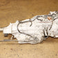 2012-2017 Subaru Impreza CVT Automatic JDM Transmission DOHC 2.0L FB20