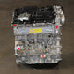 2019-2022 Hyundai Veloster Engine 2.0L 4 Cylinder Turbo G4KH GDI Theta 2 New