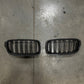 Carbon Fiber Dual Slat Front Grilles (BMW F30 3 Series)