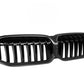 G20 Dry Carbon Fiber Front Grilles Single Slat (BMW 3-Series G20/G21/G28 LCI)