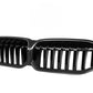 G20 Dry Carbon Fiber Front Grilles Single Slat (BMW 3-Series G20/G21/G28 LCI)