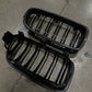 Carbon Fiber Dual Slat Front Grilles (BMW F30 3 Series)