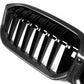 G20 Dry Carbon Fiber Front Grilles Single Slat (BMW 3-Series G20/G21/G28 LCI)