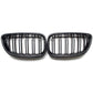 Carbon Fiber Front Grille (F87 M2)
