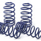 H&R Lowering Springs