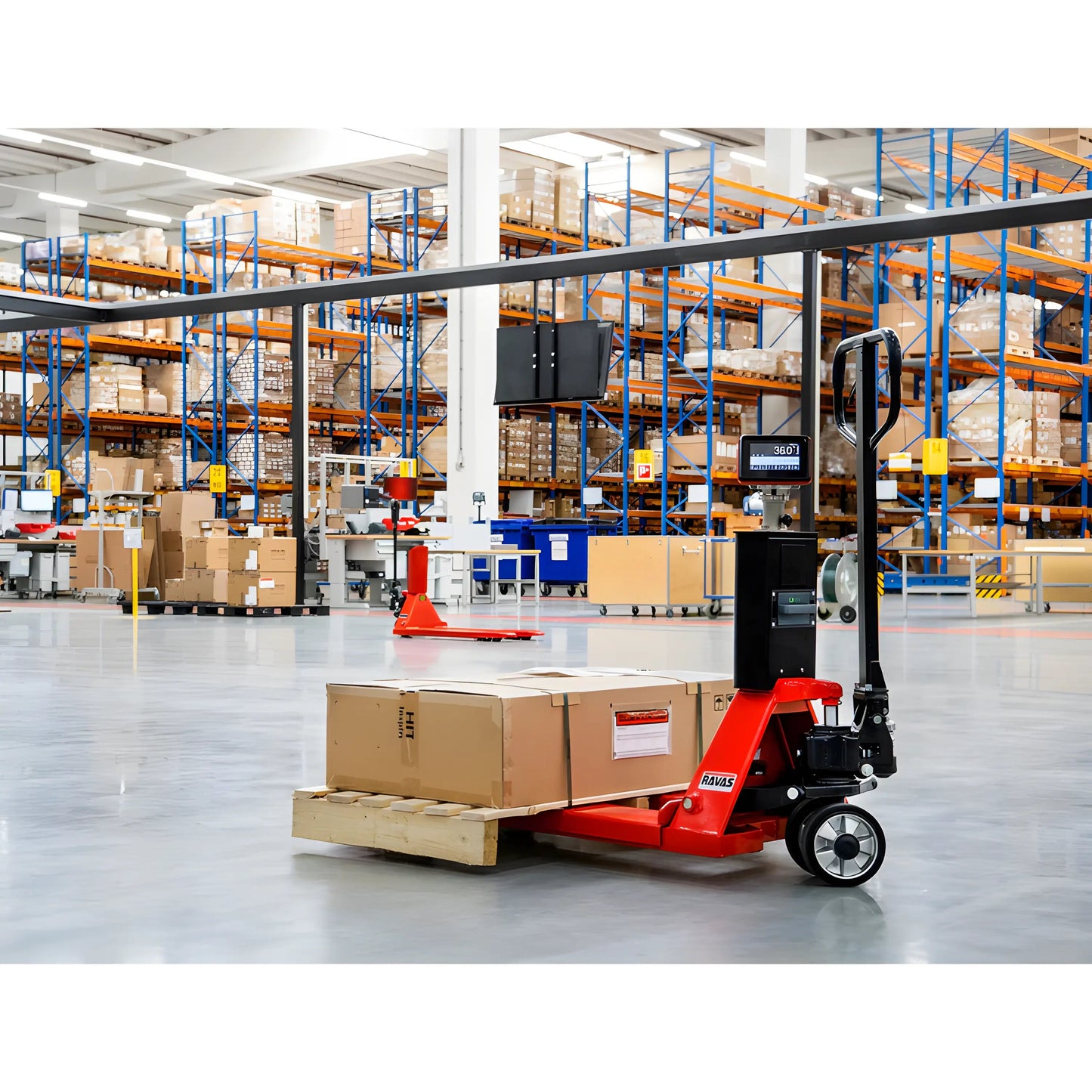 RAVAS 520 | Hand Pallet Jack with Scale