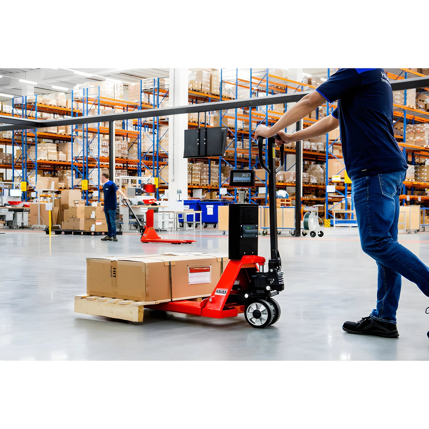 RAVAS 520 | Hand Pallet Jack with Scale