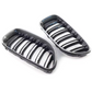 F06 M6 Carbon Fiber Front Grille Dual Slat - F06 F12 F13 M6