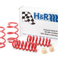 H&R Lowering Springs