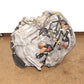 1998 1999 2000 2001 2002 JDM Honda Accord Automatic Transmission 2.3L 4 Cylinders F23A