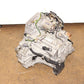 1998 1999 2000 2001 2002 JDM Honda Accord Automatic Transmission 2.3L 4 Cylinders F23A